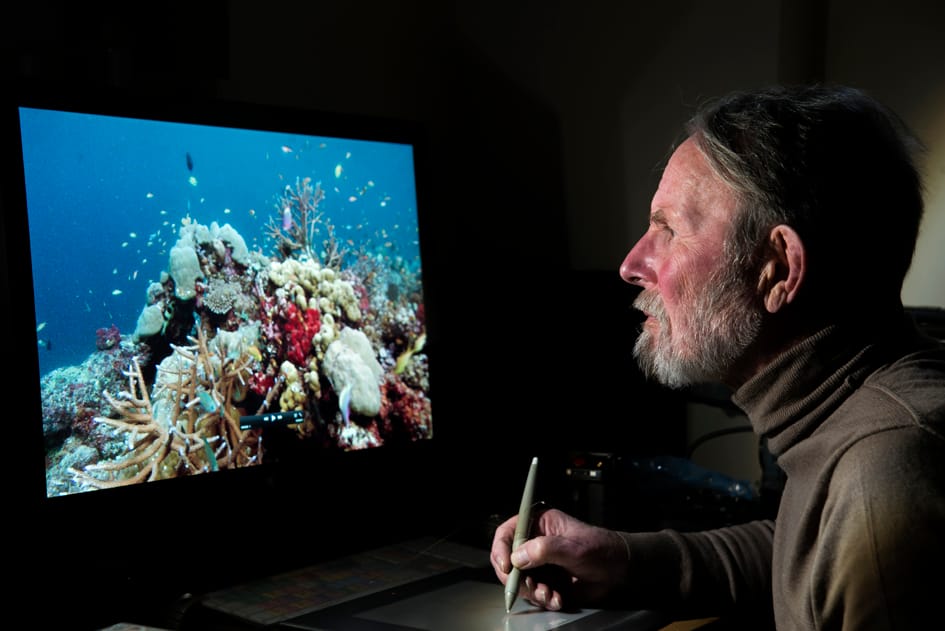 Peter Scoones, documentalista:  “Lo más difícil es filmar para el gran público”